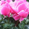 06112906.IMG_3558~1.JPG