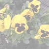 DSCN0614.jpg